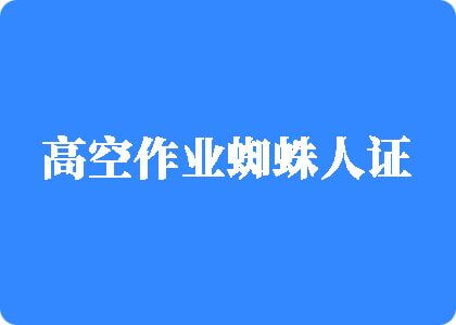 羞羞美女黄色扣逼视频高空作业蜘蛛人证